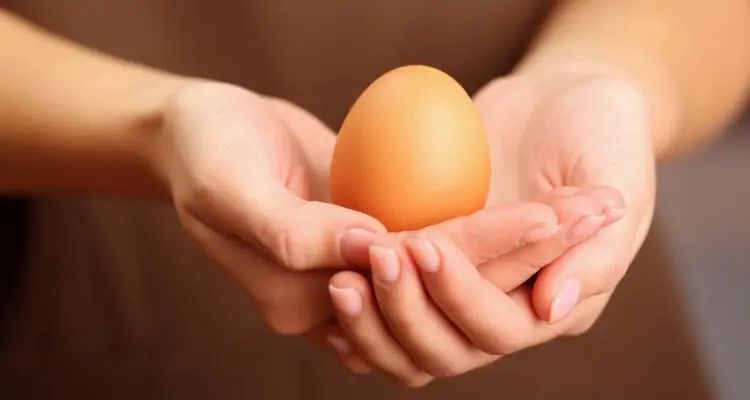 The Eggs and Cholesterol Myth: Unraveling the Truth